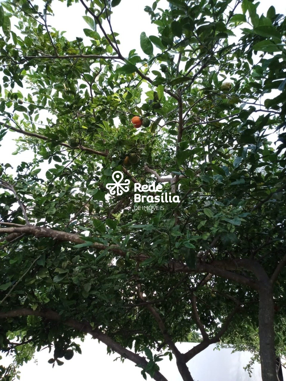 Imagem da propriedade PD3207 78