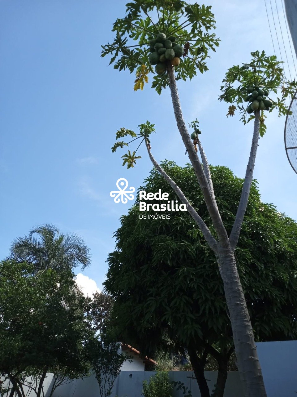 Imagem da propriedade PD3207 79